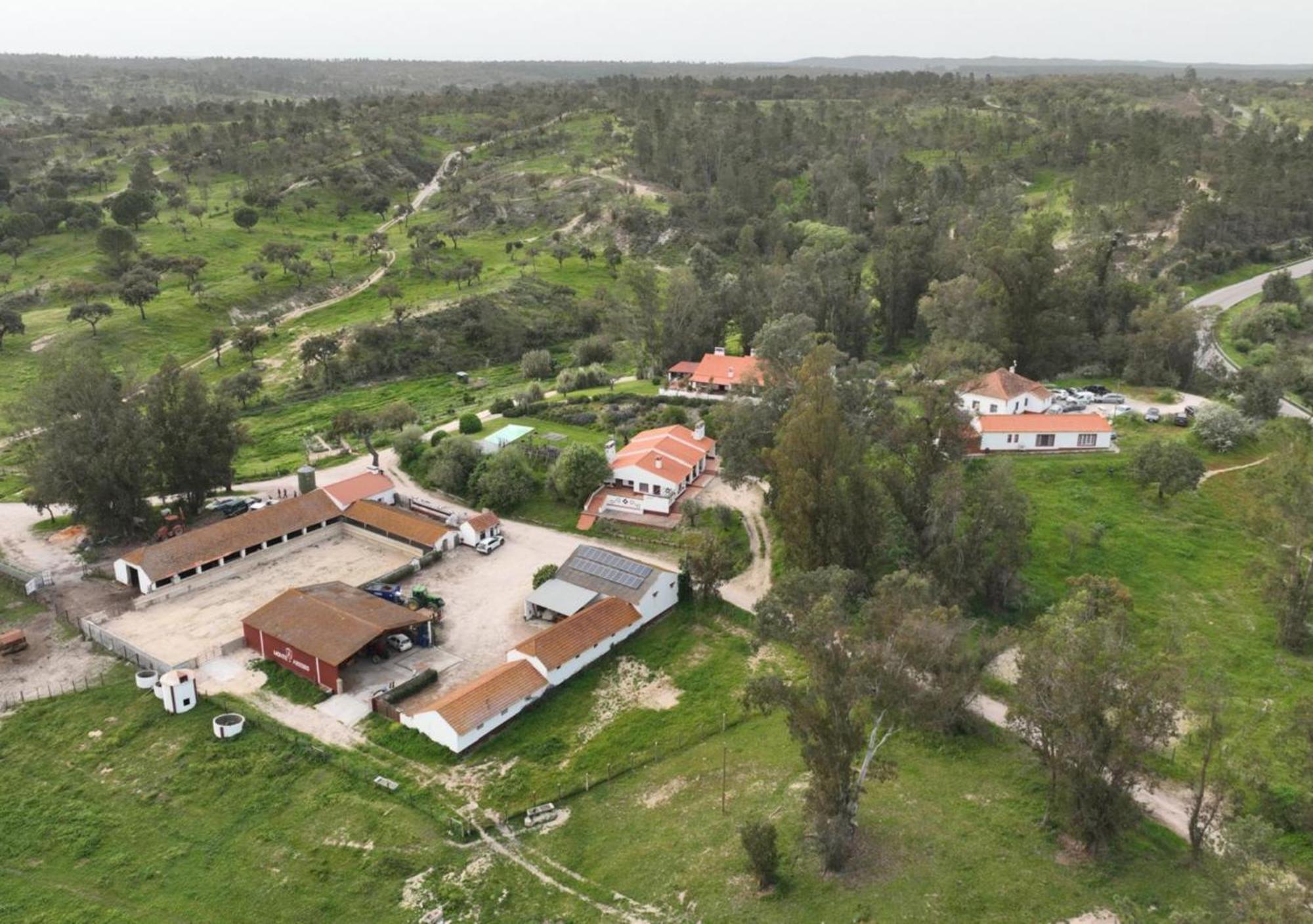 Monte Do Areeiro Villa Coruche Dış mekan fotoğraf
